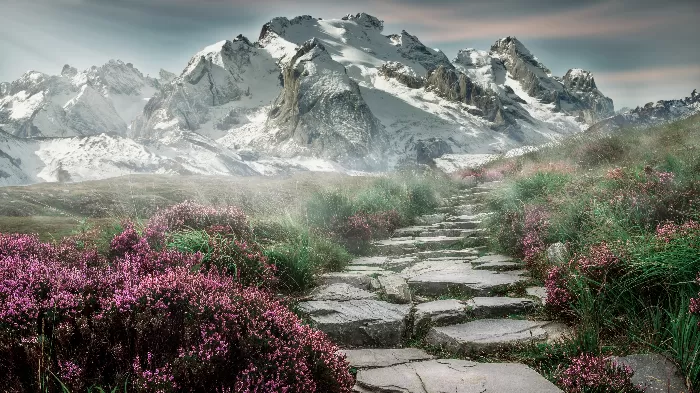 Walt to the mountains