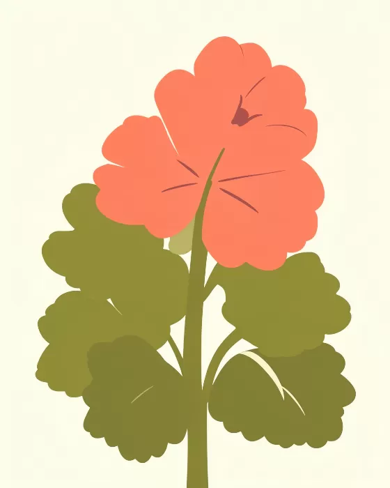 Mid Century Flora