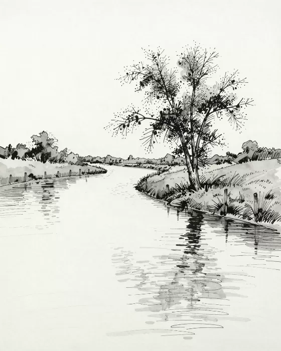 Evening Tree