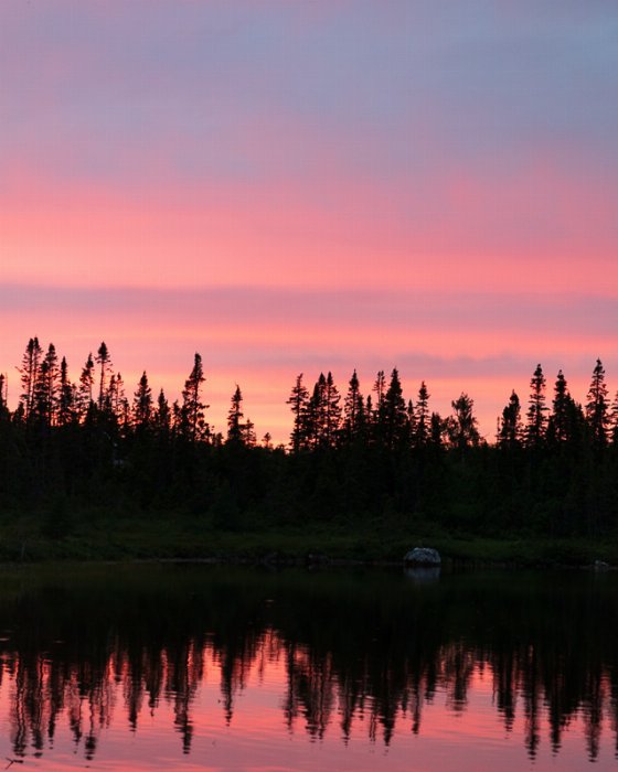 Cabin Life North Shore - Newfoundland art print