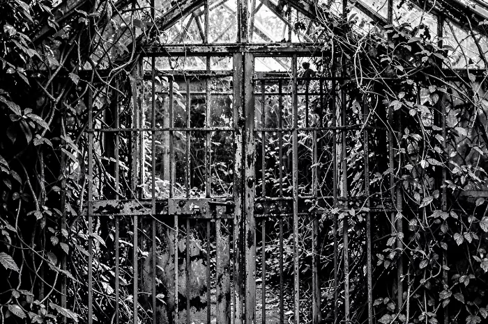 Rust Gate