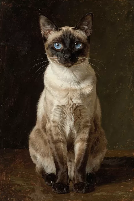 Blue Gaze