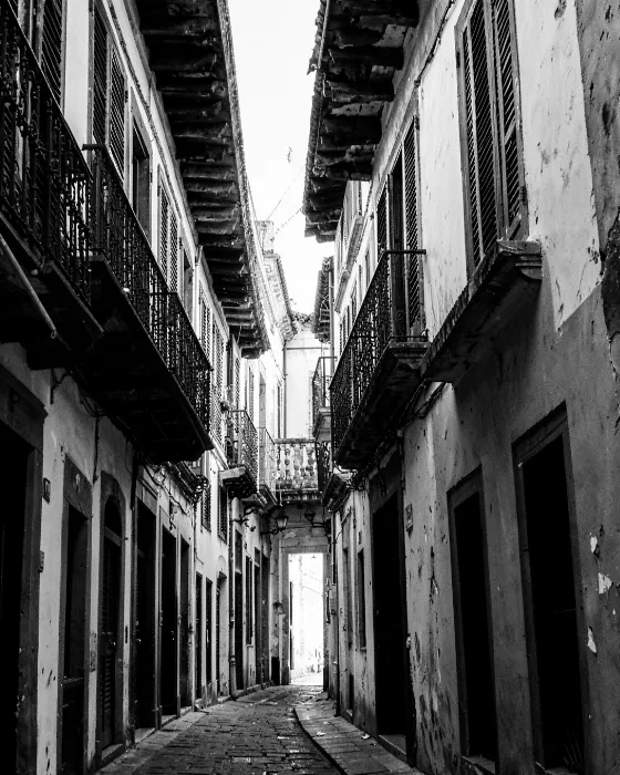 Havana Shadows