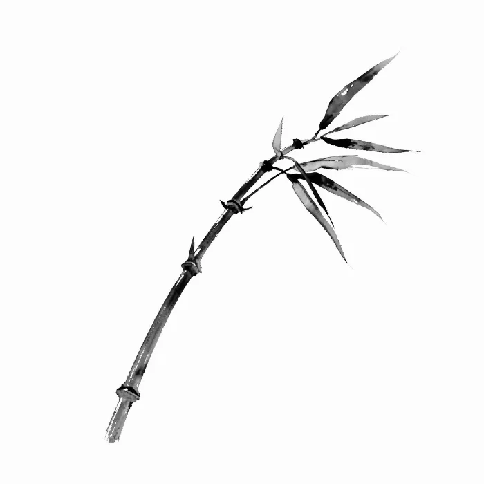 Bamboo Sway