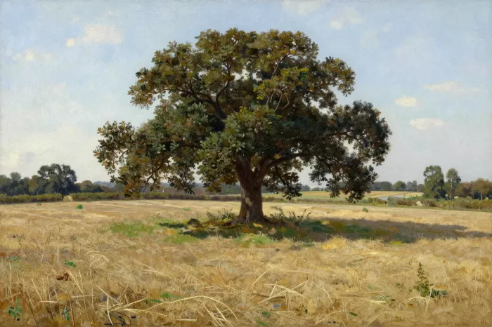 Field Shade