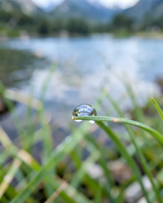 Alpine Droplet