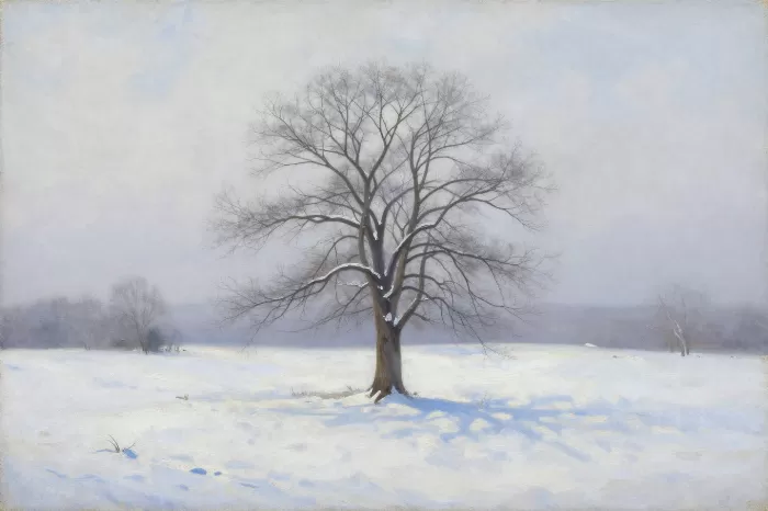 Lone Elm