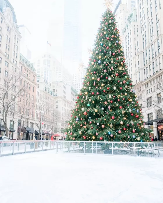 Holiday Radiance