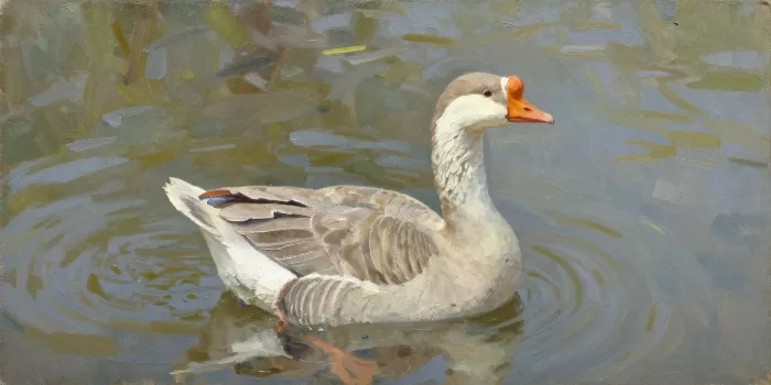 White Cheek