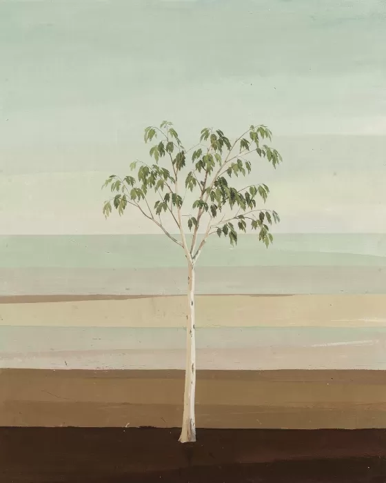 Eucalyptus Horizon