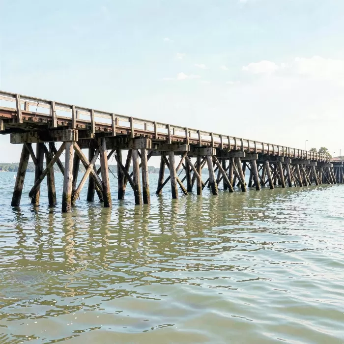 Tidal Crossing