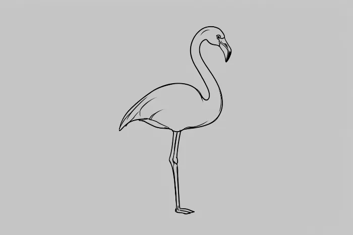 Flamingo Line
