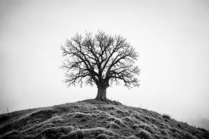 Frosted Oak