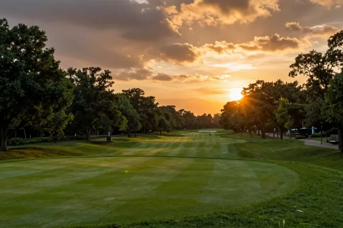 Sunset Greens