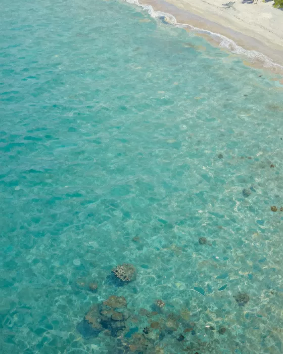 Lagoon Shallows