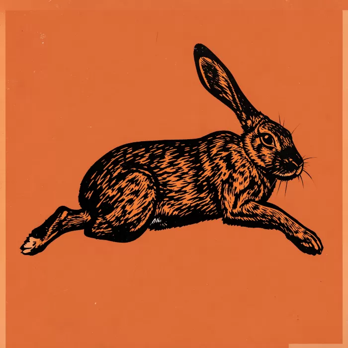 Hare Run