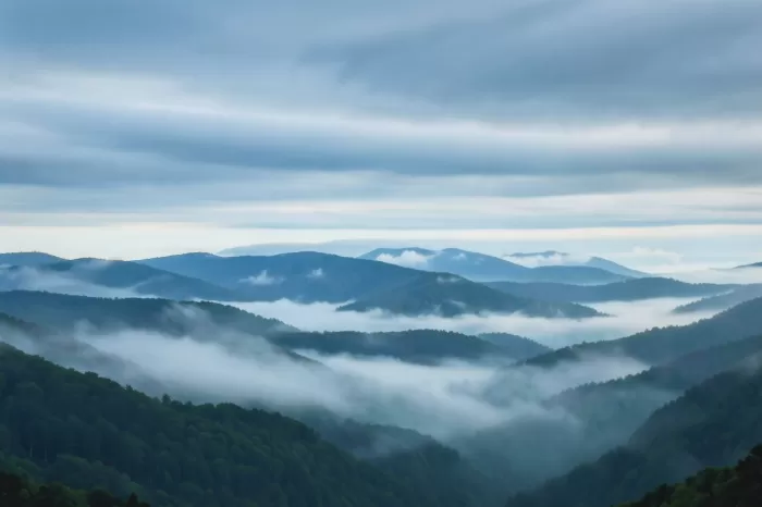 Mist Veil
