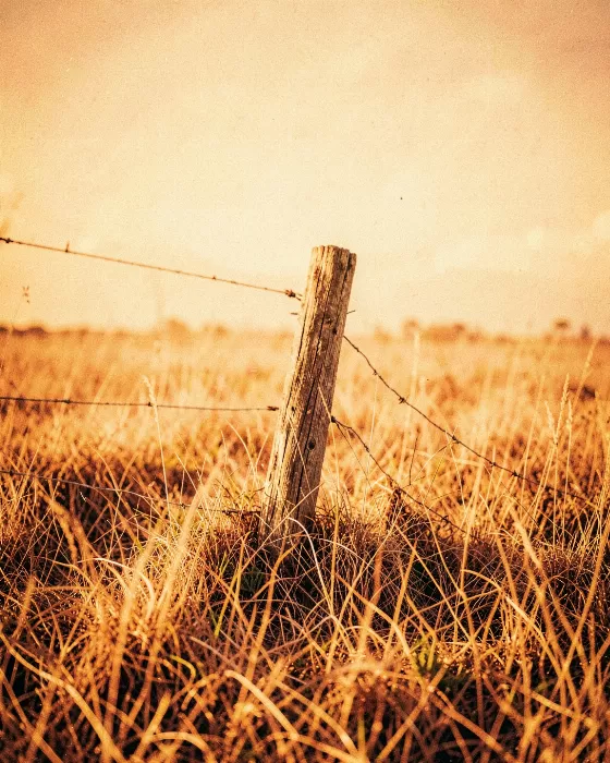 Leaning Post