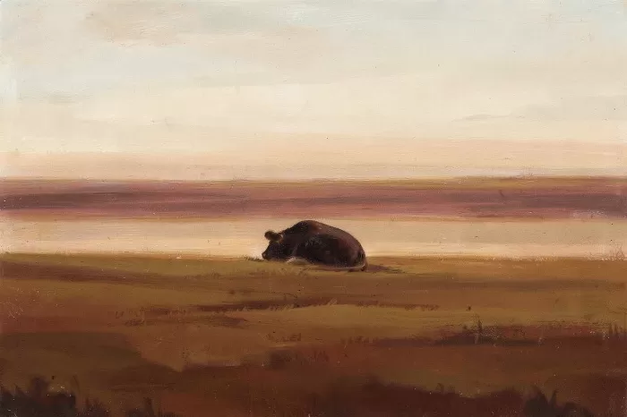 Resting Light