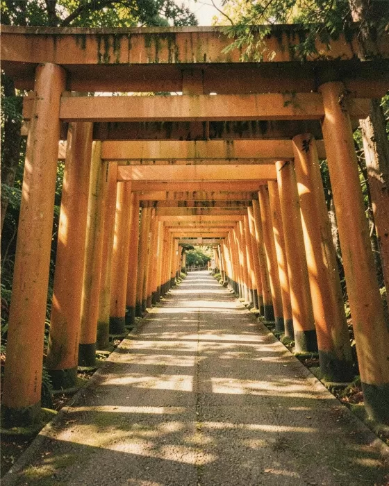 Fushimi Gates