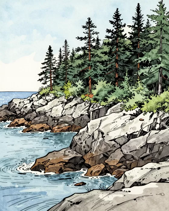 Pine Headland