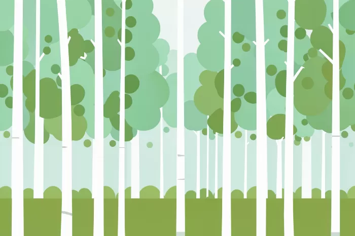 Mint Canopy