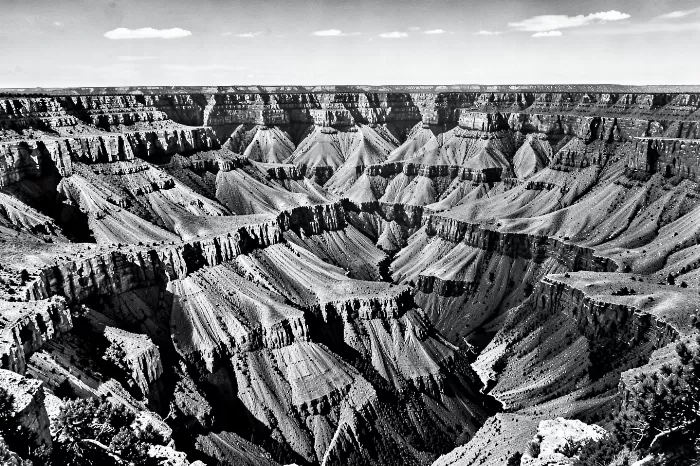 Canyon Depths