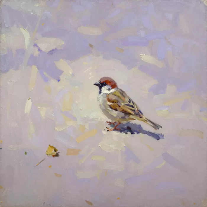 Sunlit Sparrow