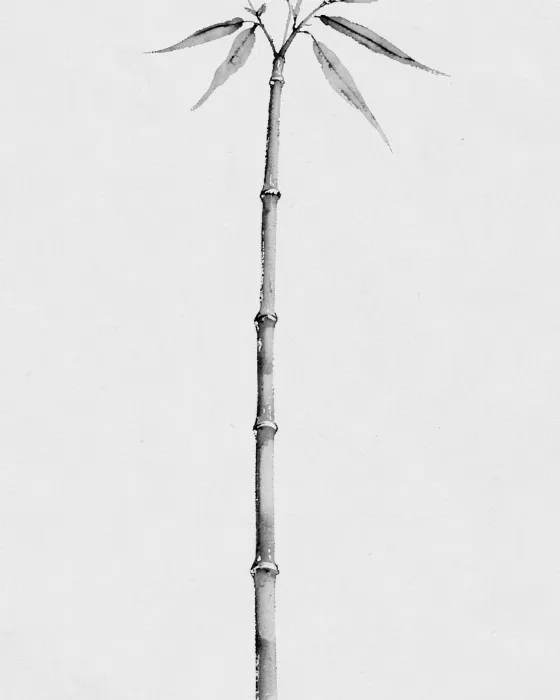 Single Stalk