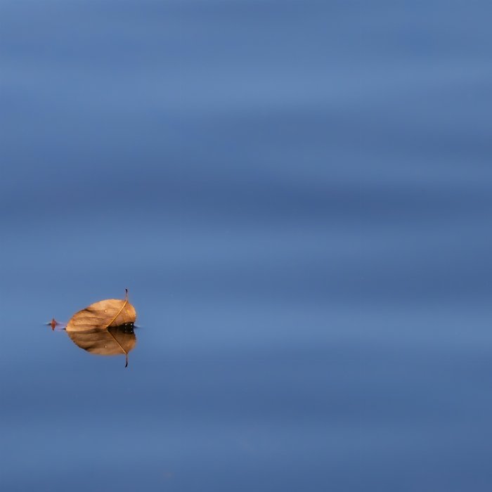 Drifting - Newfoundland art print