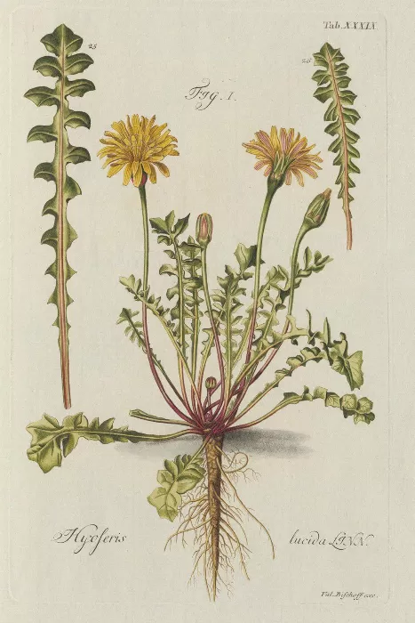 Vintage Flowers