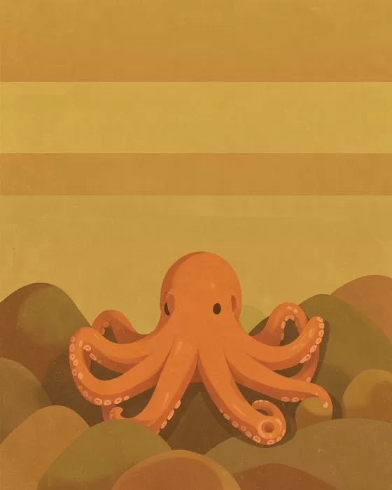 Tidepool Octopus