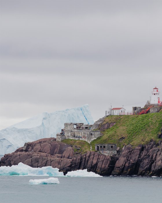 A Giant Approaching - Newfoundland art print