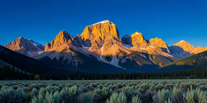 Sagebrush Dawn