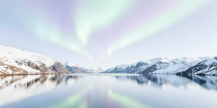 Arctic Veil