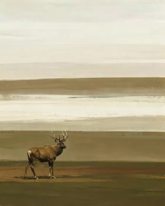 Elk Horizon
