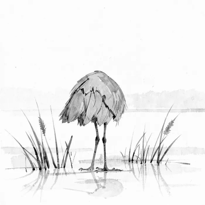 Reed Watch
