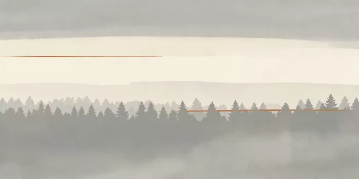 Misty Horizon