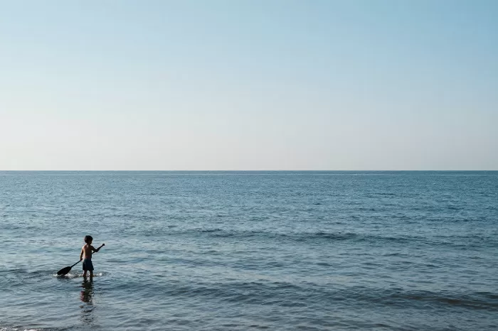 Shoreline Paddler