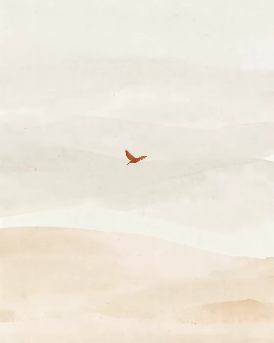 Sand Swoop