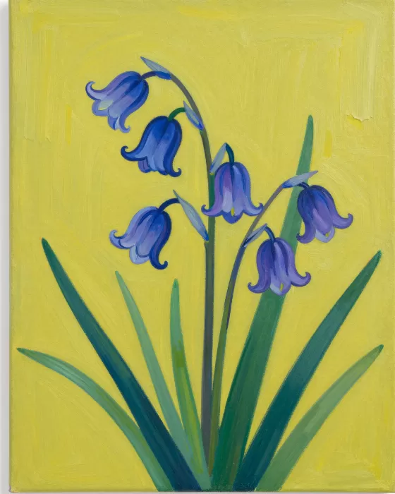 Indigo Blooms