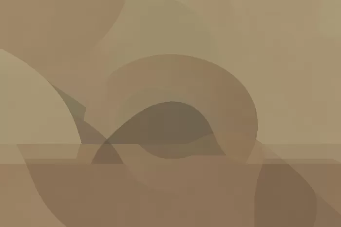 Bison Form