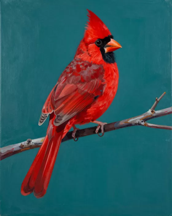 Cardinal Red
