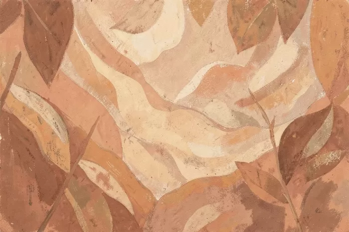 Volcanic Soil