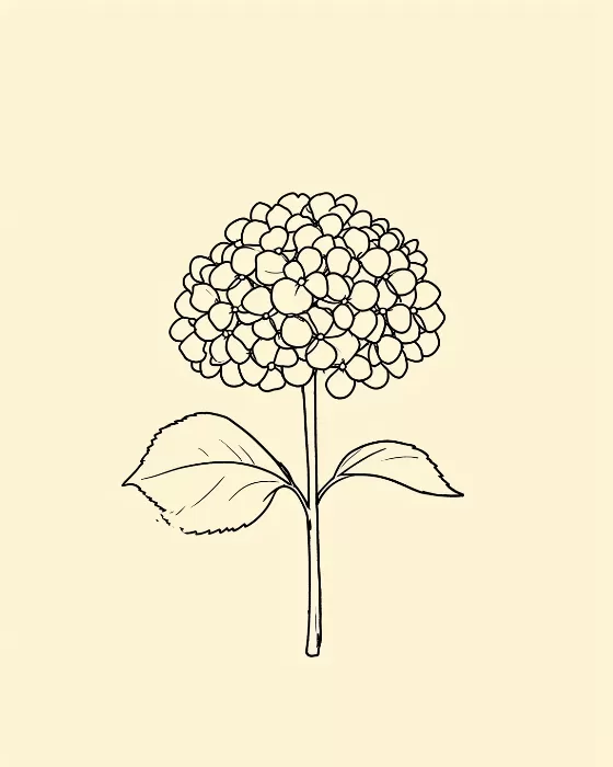 Ink Hydrangea
