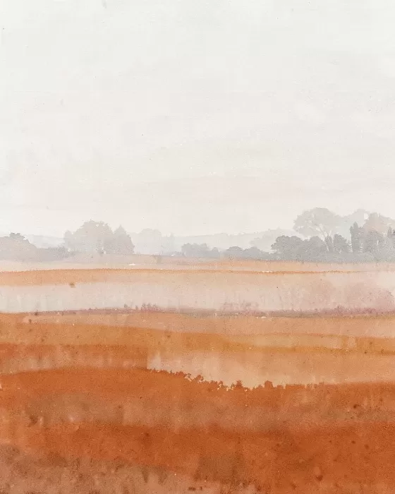 Misted Treeline
