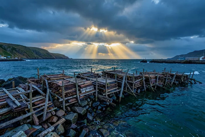 Cod Drying