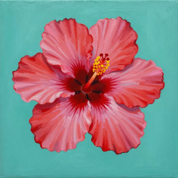 Teal Hibiscus