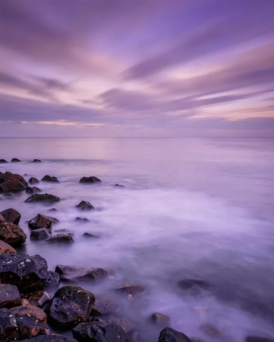 Mauve Coast