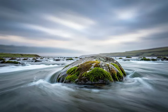 Moss Stone